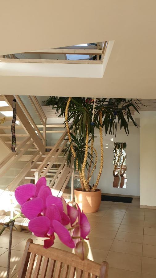 Brouay Grande Maison Avec Spa Proche De Caen Et De La Mer מראה חיצוני תמונה